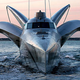 Image for article titled Speedy Power Boat Powered by Human Flab to Circumnavigate the Globe